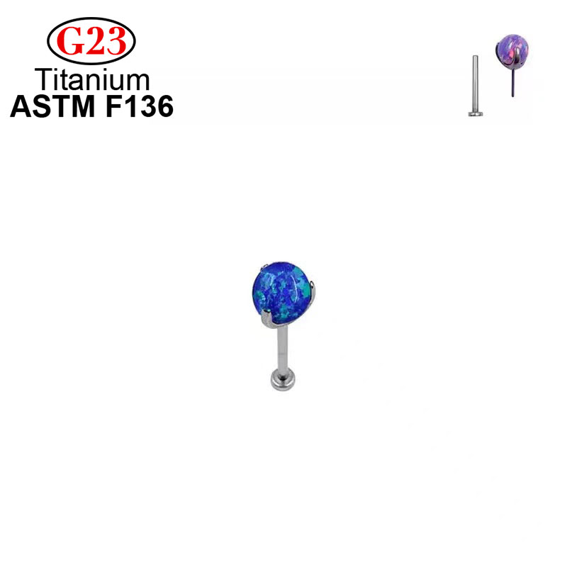 Ohr stecker g23 Mode Piercing  – Body Jewelry Implant Grade Bewertung und Preis