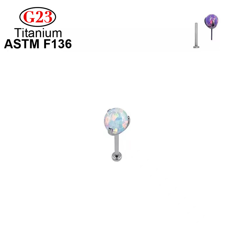 Ohr stecker g23 Mode Piercing  – Body Jewelry Implant Grade Bewertung und Preis