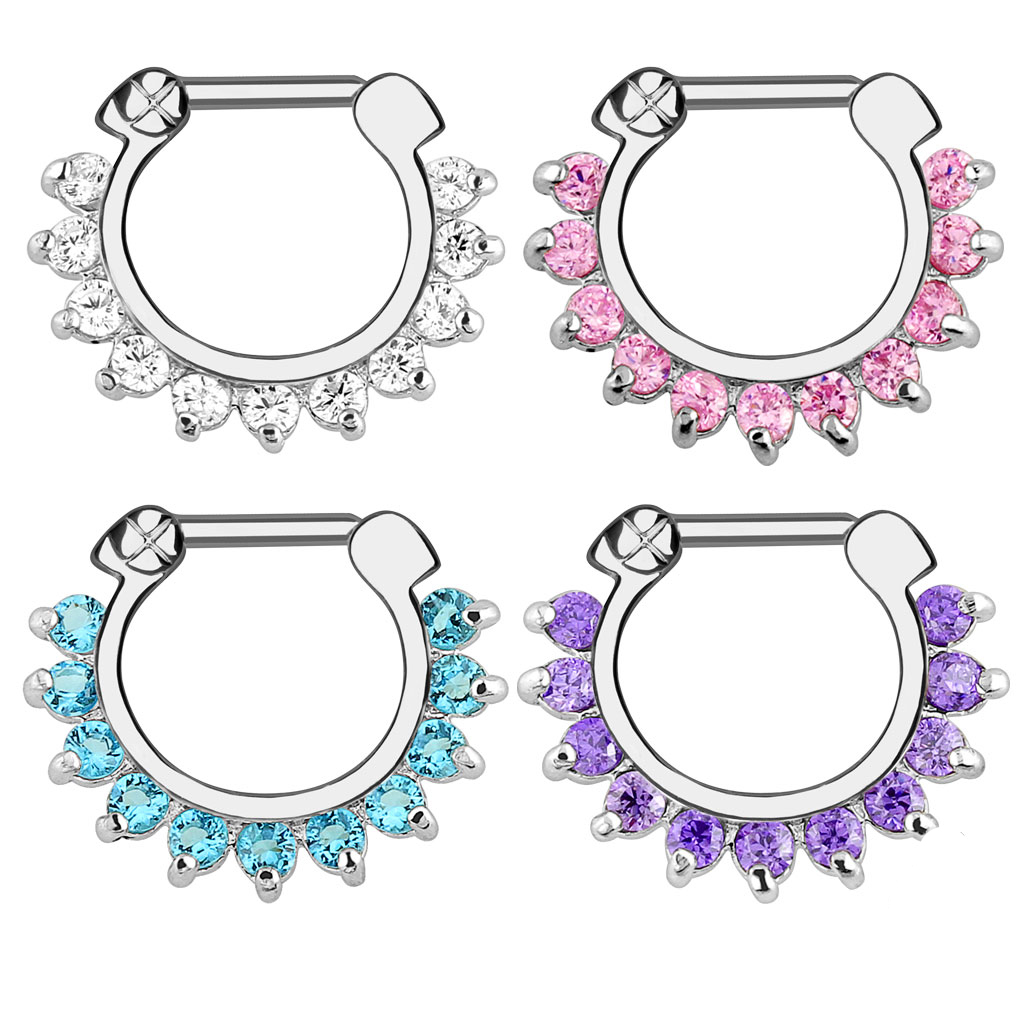 1 Stück Nasenpiercing mit Klap – Body Jewelry Hoops Bewertung und Preis