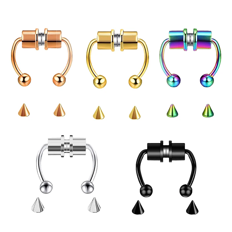 Gefälschte Piercing Nase Ring  – Body Jewelry Hoops Bewertung und Preis
