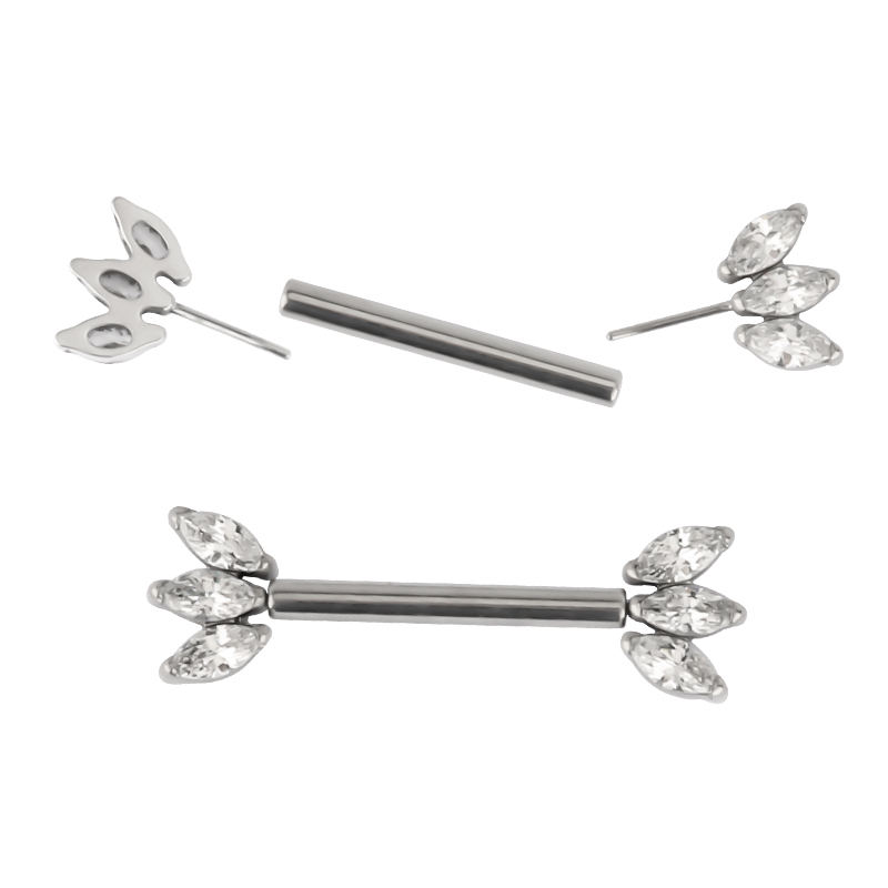 14G ASTM F136 Titan in Implant – Body Jewelry Implant Grade Bewertung und Preis