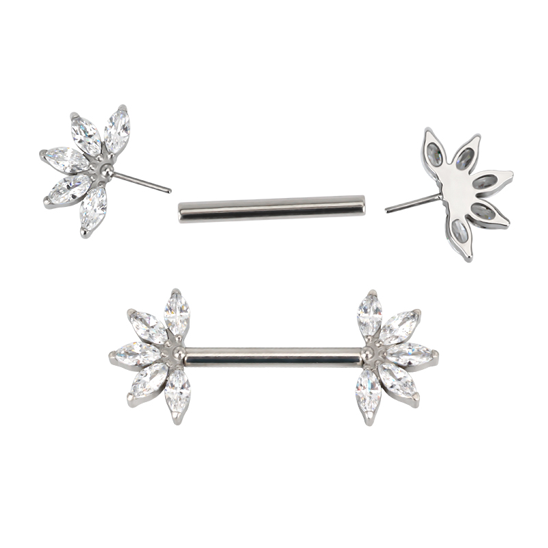 14G ASTM F136 Titan in Implant – Body Jewelry Implant Grade Bewertung und Preis