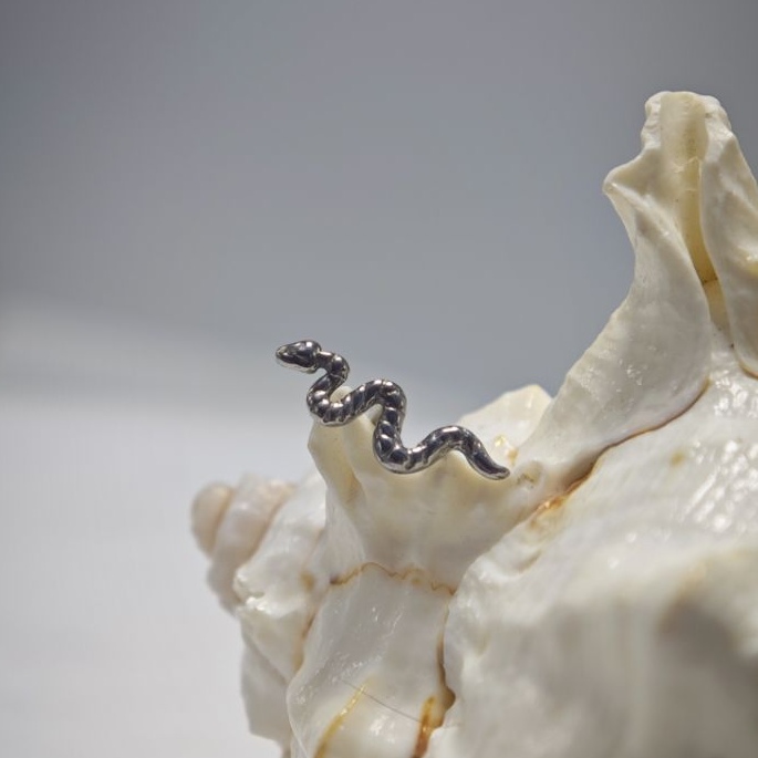 16G Titan-Implantatqualität, h – Body Jewelry Implant Grade Bewertung und Preis