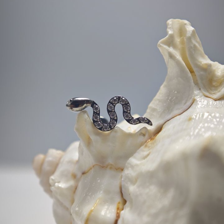 16G Titan-Implantatqualität, h – Body Jewelry Implant Grade Bewertung und Preis